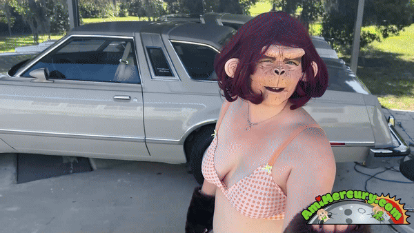 www.amimercury.com - Ape Woman POV Fuck thumbnail